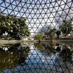 Brisbane Royal Botanic Garden