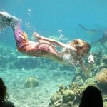 Sea world
